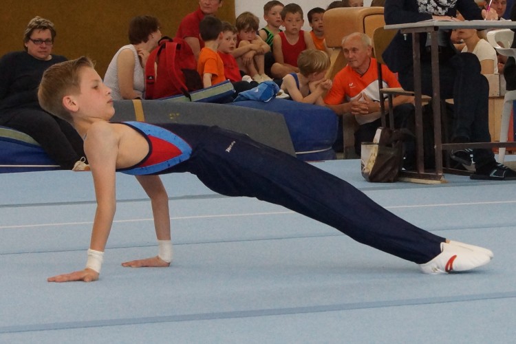 Bild 8229